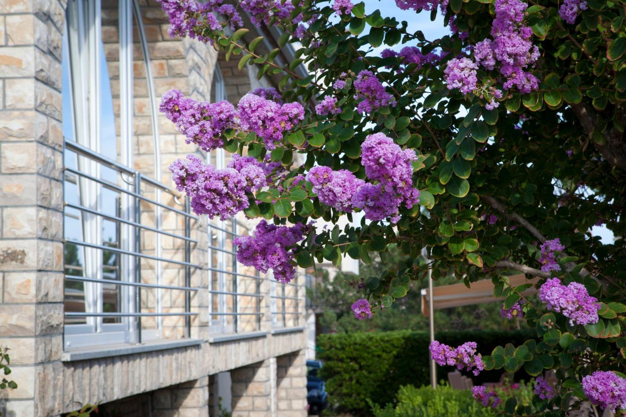 Pansion Burin Hotel Baska  Bagian luar foto
